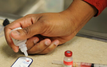 heartworm teasting at south tampa vet