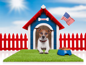 4th of july dog house