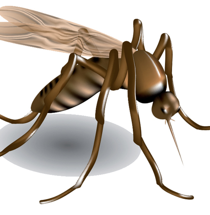 can the zika virus affect my pet? Winter Haven FL