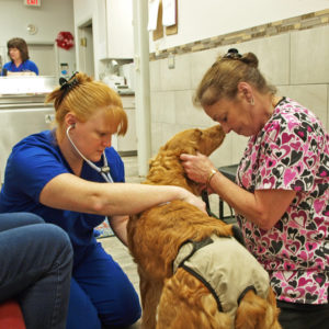 Pet Exam in Lakeland FL