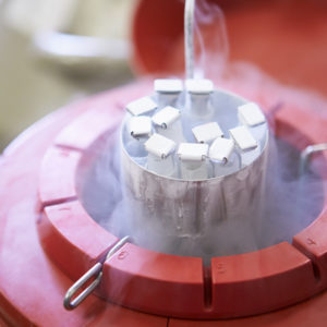 frozen semen artificial insemination in Florida