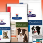 online store pet food