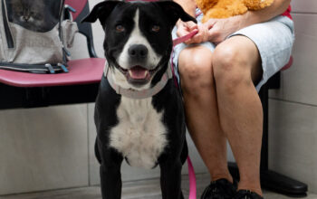 genetic testing in Spring Hill Florida