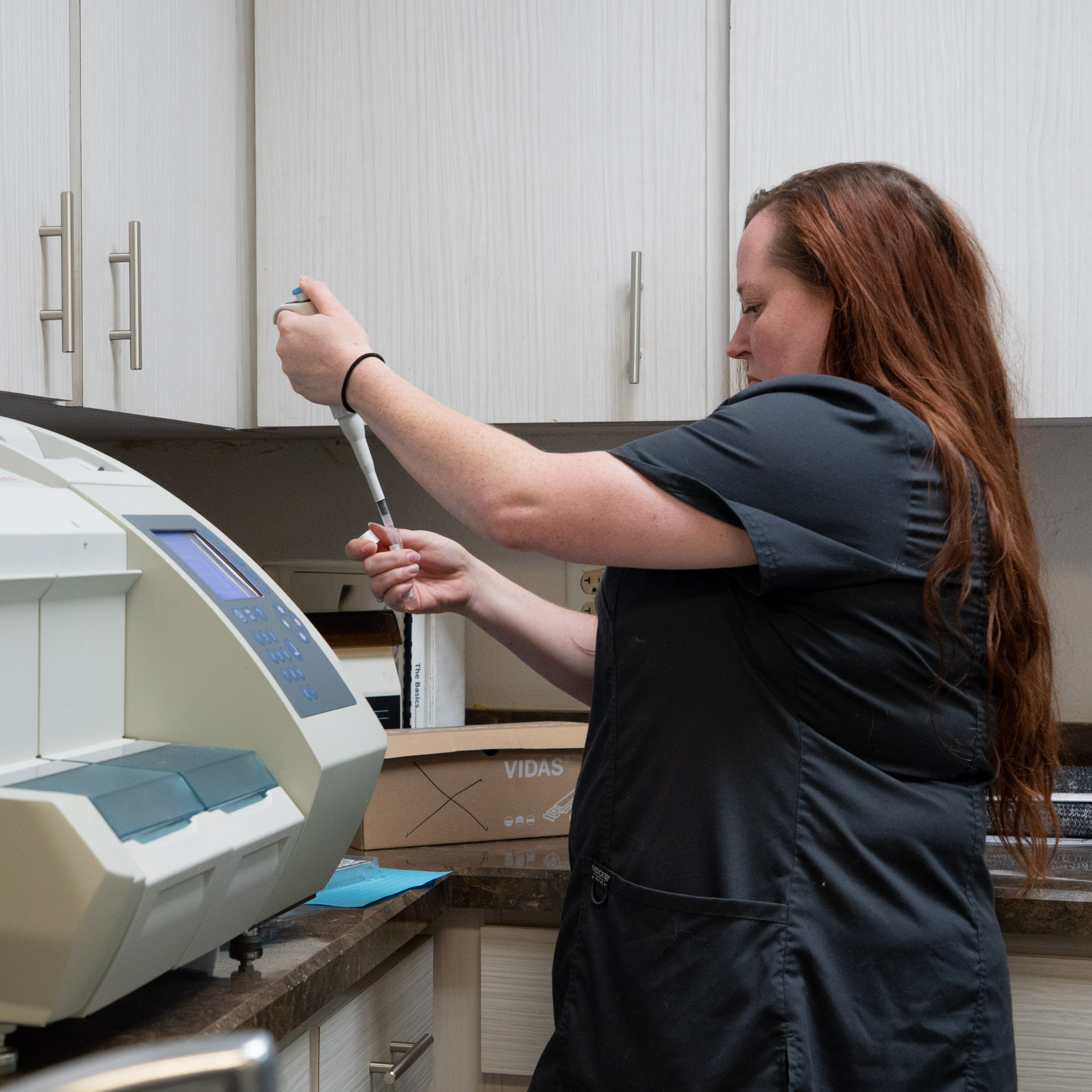 ethical breeding tips in Jacksonville Florida