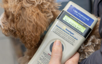 microchipping for pets in Jacksonville, FL