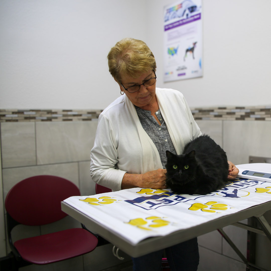 Heartworm prevention for cats in Winter Haven FL