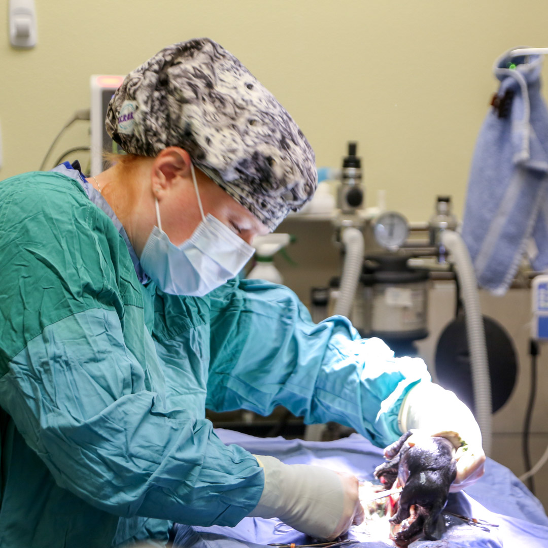 reproductive specialists in Jacksonville, FL